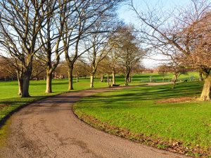 A green park driveway with trees that have lost all of their leaves, agains a bright morning sky.